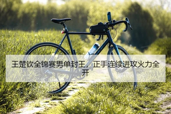 王楚钦全锦赛男单封王，正手连续进攻火力全开